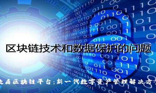 数盾区块链平台：新一代数字资产管理解决方案